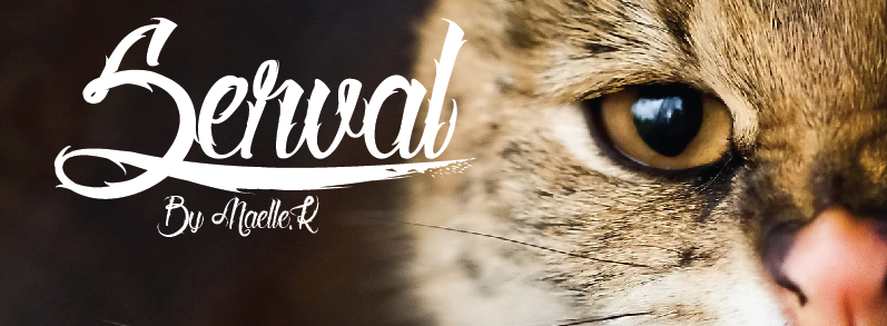 Beispiel einer Serval-Schriftart